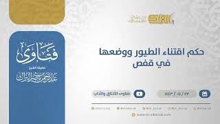 حكم اقتناء الطيور ووضعها في قفص - الشيخ عبدالرحمن البراك (13446) image