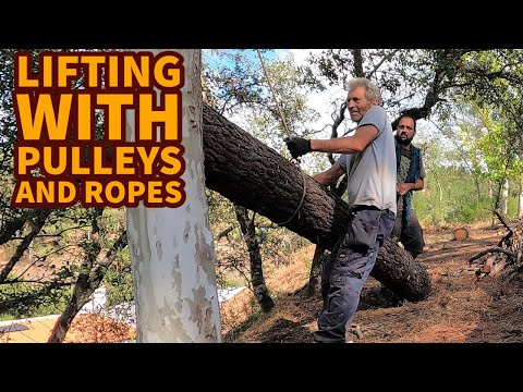 Learning about ropes and pulleys and farm update - Off the grid #43