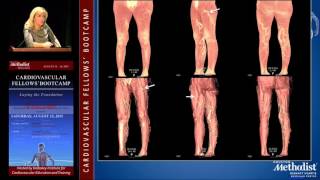 Download Lagu Anatomy and Disease (Claudie Sheahan, MD) Thumbnail