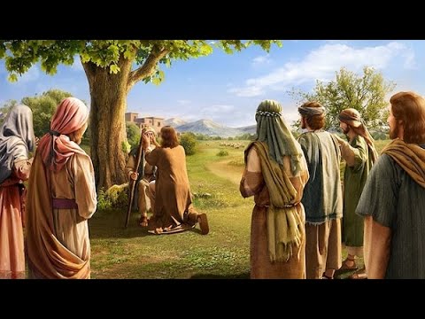 Bertha Dudde - Krankheiten und Heilung