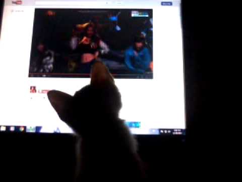 [131229] Maru watching I Got A Boy SNSD