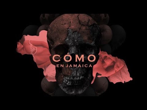 cómo en Jamaica❌El yainis❌jeison❌El Dokuas❌(letra)