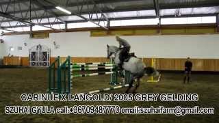 Video koně Lamborgini