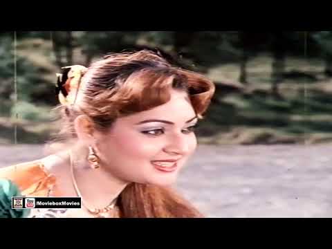 AKHAN JADON MILIYAN TE MAARI GAYI MAIN - NOOR JEHAN - NADRA - PAKISTANI FILM TOHFA