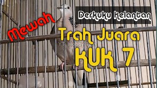 Download lagu Trah Juara !! 'Mewah Kuk nya' Derkuku Kelantan masih umur 4,5 bulan mp3 Download lagu Trah Juara !! 'Mewah Kuk nya' Derkuku Kelantan masih umur 4,5 bulan mp3