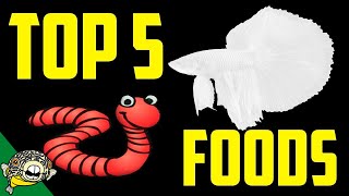 Top 5 Betta Fish Foods by Aquarium Co-Op