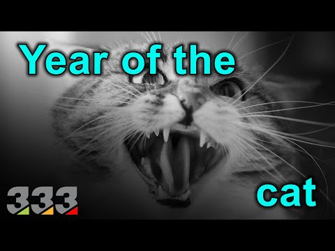 What are the characteristics of a cat year?