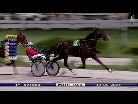 Aversa trotto 12 Maggio 2021 - 1° Corsa