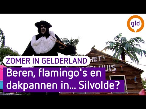 Zomer in Gelderland 13 augustus 2021 - Silvolde