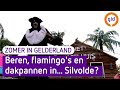 Zomer in Gelderland 13 augustus 2021 - Silvolde