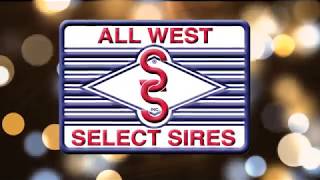 Thank You, from All West Select Sires
