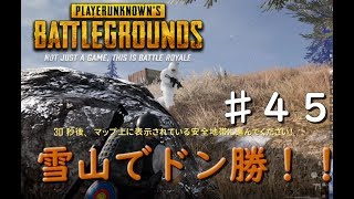 ♯45【PUBG】【Vikendi】新マップでドン勝！白モリゾー現る！！【高画質】【ゲーム実況】