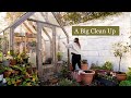 Satisfying big garden clean up, November garden vlog