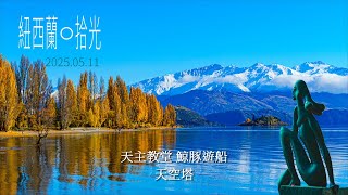 紐西蘭13 觀鯨海豚遊船 Auckland Whale and Dolphin Safari Cruise、天空塔 Sky Tower、天主教堂 , NEW ZEALAND