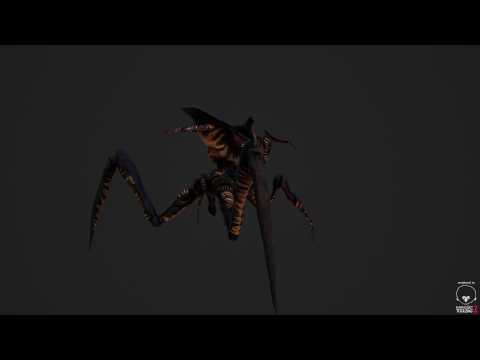 warrior bug