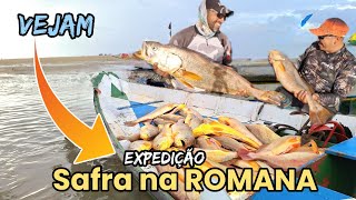 Yellowfin tuna season at ROMANA in CURUÇÁ/PA. Check it out 👍