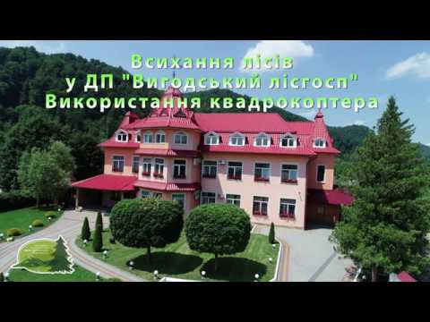 «Вигодський лісгосп» відвідала делегація з Словенії