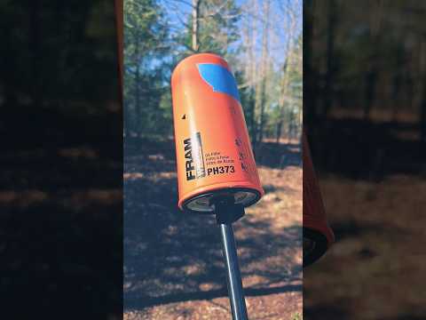 Oil filter suppressor on Chiappa Little Badger .22