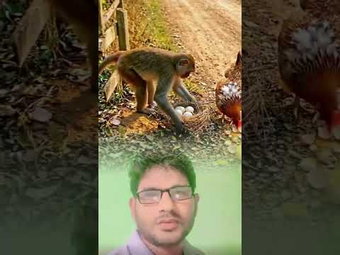 #शॉर्ट #वीडियो #