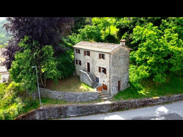 L'OLMO - Typical Tuscan farmhouse near the village, with panoramic view, large land and hut