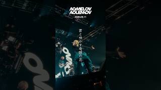 TVアニメ『グロウアップショウ 〜ひまわりのサーカス団〜』第9話、今夜です！🎪NOMELON NOLEMON「ユラリユレル」 #ノーメロ #グロウアップショウ