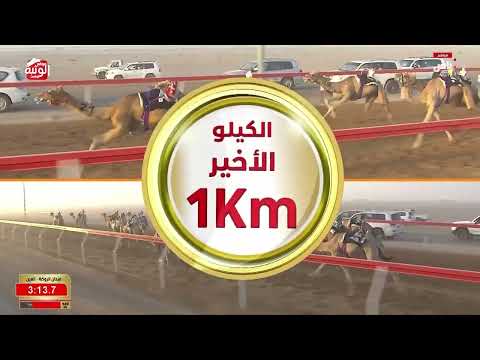 ش 6 (راهيه) لـ سيف راشد بن فالح سيف الشامسي 4:34:06 ، مهرجان العين 2026/07/06 حقايق الروضة