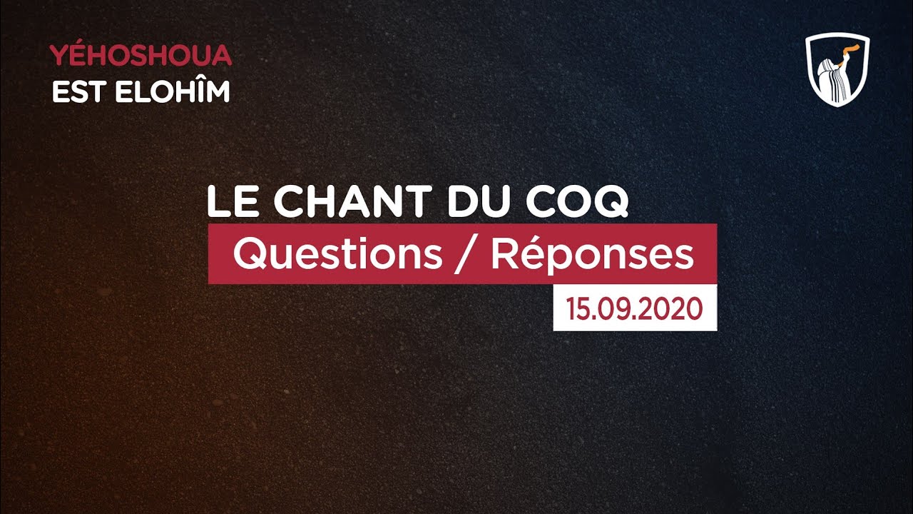 Thumbnail of video: Questions - réponses 2/2