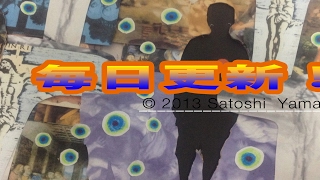 DQMSL