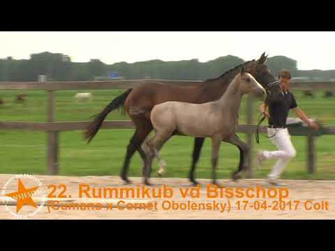 22  Rummikub vd Bisschop Cumano x Cornet Obolensky ET   www prinsjesdag eu