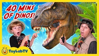 Giant Dinosaur Adventures! 40 Minutes of Dinosaurs with T-Rex in Fun Kids Video with Toys