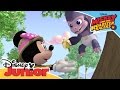 Mickey And The Roadster Racers The Happy Helpers Rescue A Gorilla Official Disney Junior Africa