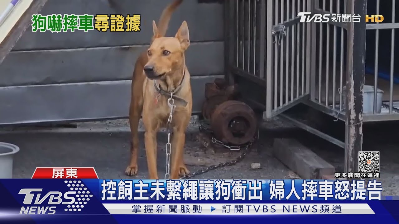 未繫繩讓狗衝出?婦人摔車怒提告 飼主:我的狗不會追車