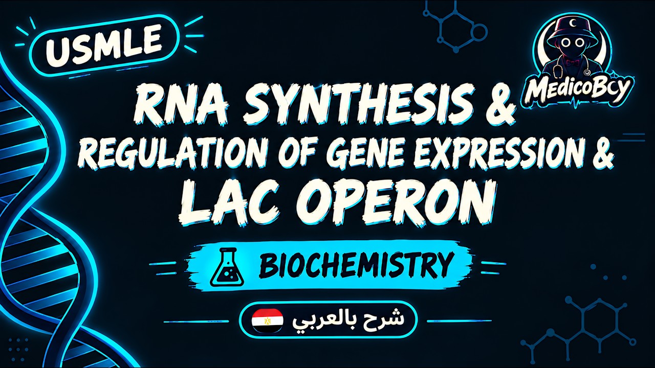 RNA Synthesis, Gene Expression & Lac Operon | USMLE Step 1 | شرح بالعربي