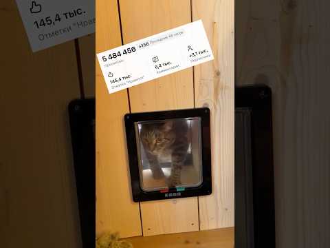 Я в Макс «Юля Кемпель пишет…»