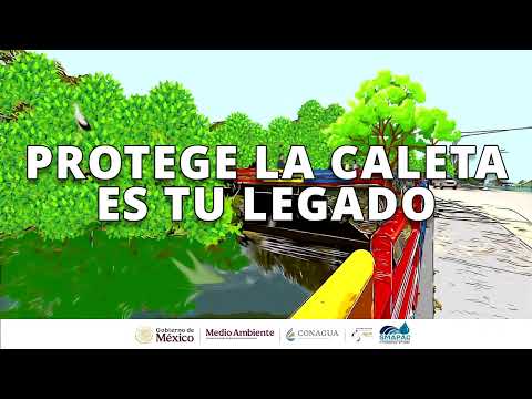 Mantengamos limpio el arroyo de la caleta