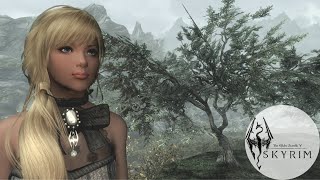 【Skyrim】かわいいスタンドアローン型のフォロワーMODを導入したので会いに行く金髪碧眼褐色美少女