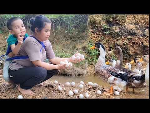 Mother and 5-year-old child harvest duck eggs to sell