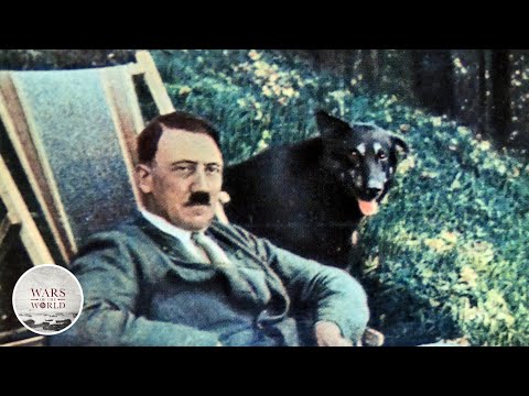 Hitler's Dogs...