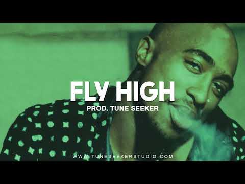 G-funk Rap Beat West Coast Hip Hop Instrumental - Fly High (prod. by Tune Seeker)
