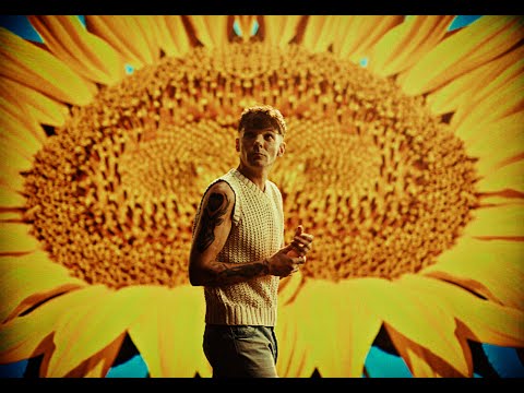 Louis Tomlinson - Sunflowers (Visualiser)