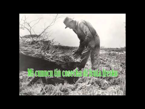 Cunucu di seit tribute to Don Ramon Krozendijk (Robin Giel Cover)