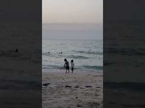 play time on the beach 🏖️🏖️🏖️🏖️🏖️🏖️🏖️🤠🤠🤠🤠🤠 ......