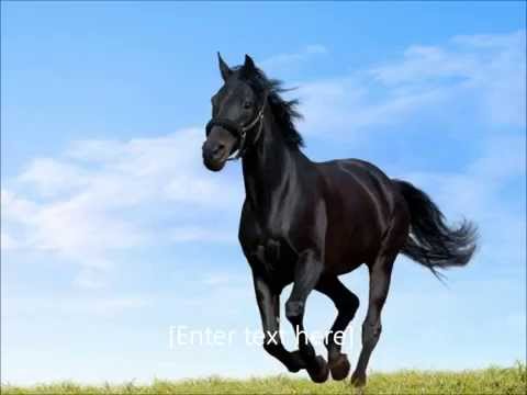 The Lover that You Are Pulse featuring the voice of Antoinette Roberson essential mix 96