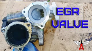 EGR Valve + Coolant System Bleed: DIY Fix
