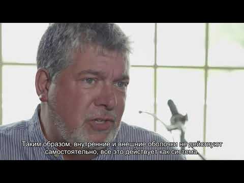 Rockport Technologies. Из первых уст.