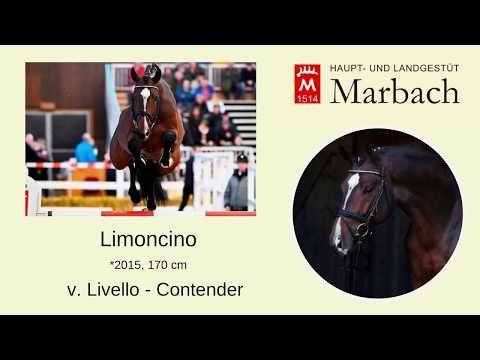 Limoncino *2015 v. Livello - Contender