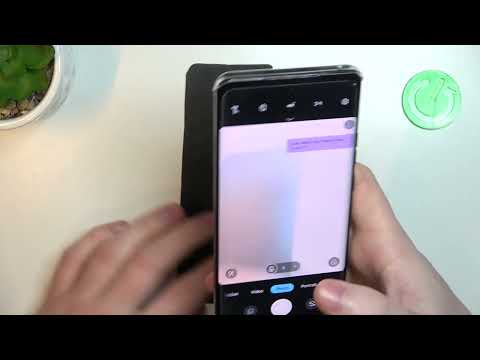 How to Take Macro Photos in the Camera of MOTOROLA Edge 40 - Macro Photo Mode