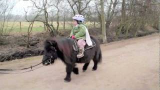 Hopp, hopp, hopp, Pferdchen lauf Galopp