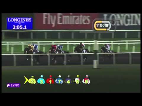 03.01.2013 Meydan (Dubai-UAE) 3.Race Al Basti Cup - 2.800 m