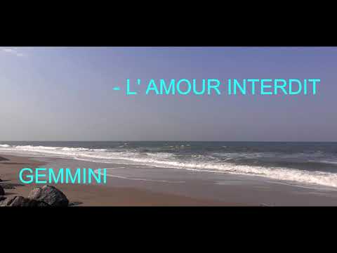 GEMMINI - L' AMOUR INTERDIT